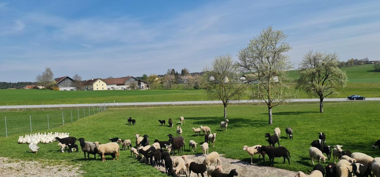 Landgasthof Entenwirt Tarsdorf Exterior foto