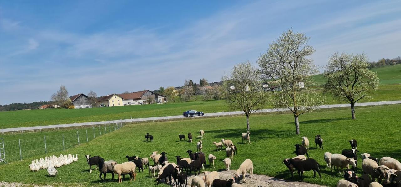 Landgasthof Entenwirt Tarsdorf Exterior foto